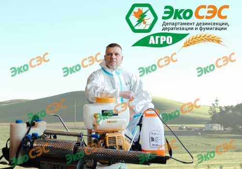 Санобработка животноводчества